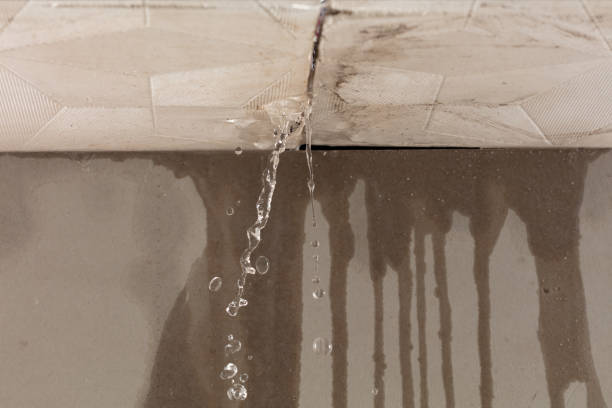 Professional Burst Pipe Cleanup technician working in Trimble, OH